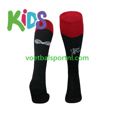 Rangers Third Kind Sokken 2024-25